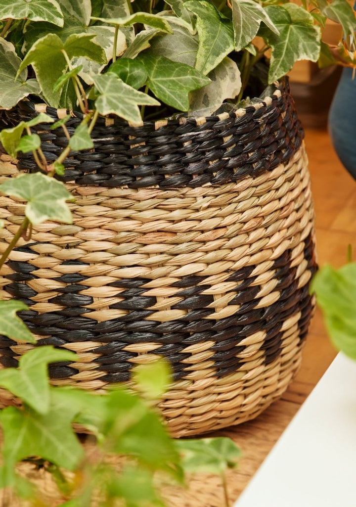 Close Up Of a Natural Basket Planter