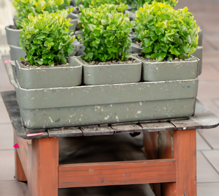 Trio Pots and Tray Sage Bamboo Terrazzo Design Recycled