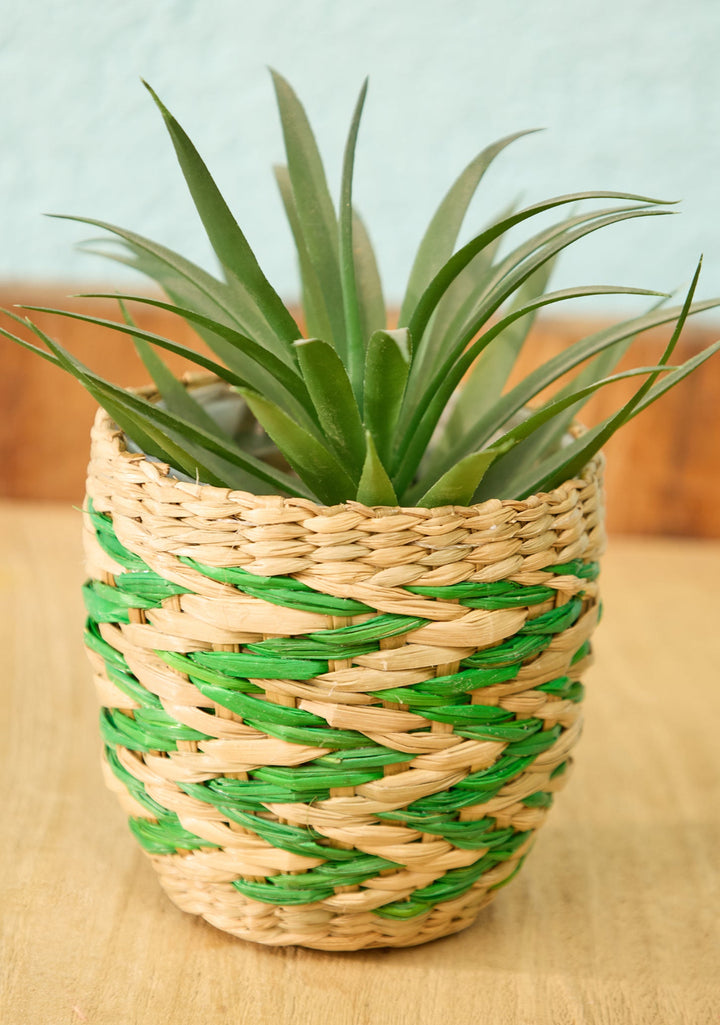 Mini Basket Planter Green Chevrons