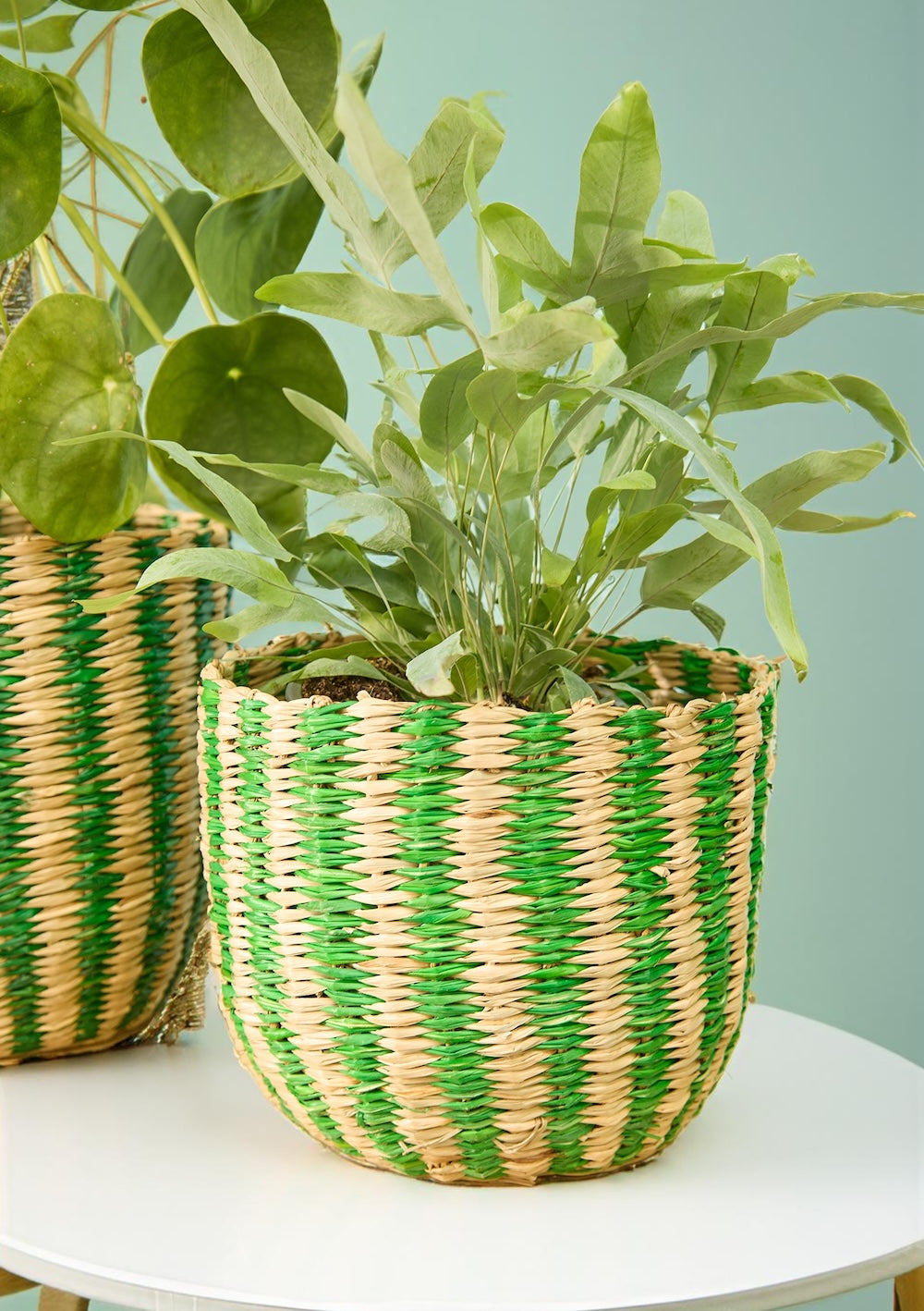 Green Striped Seagrass Baskets Second Nature Online