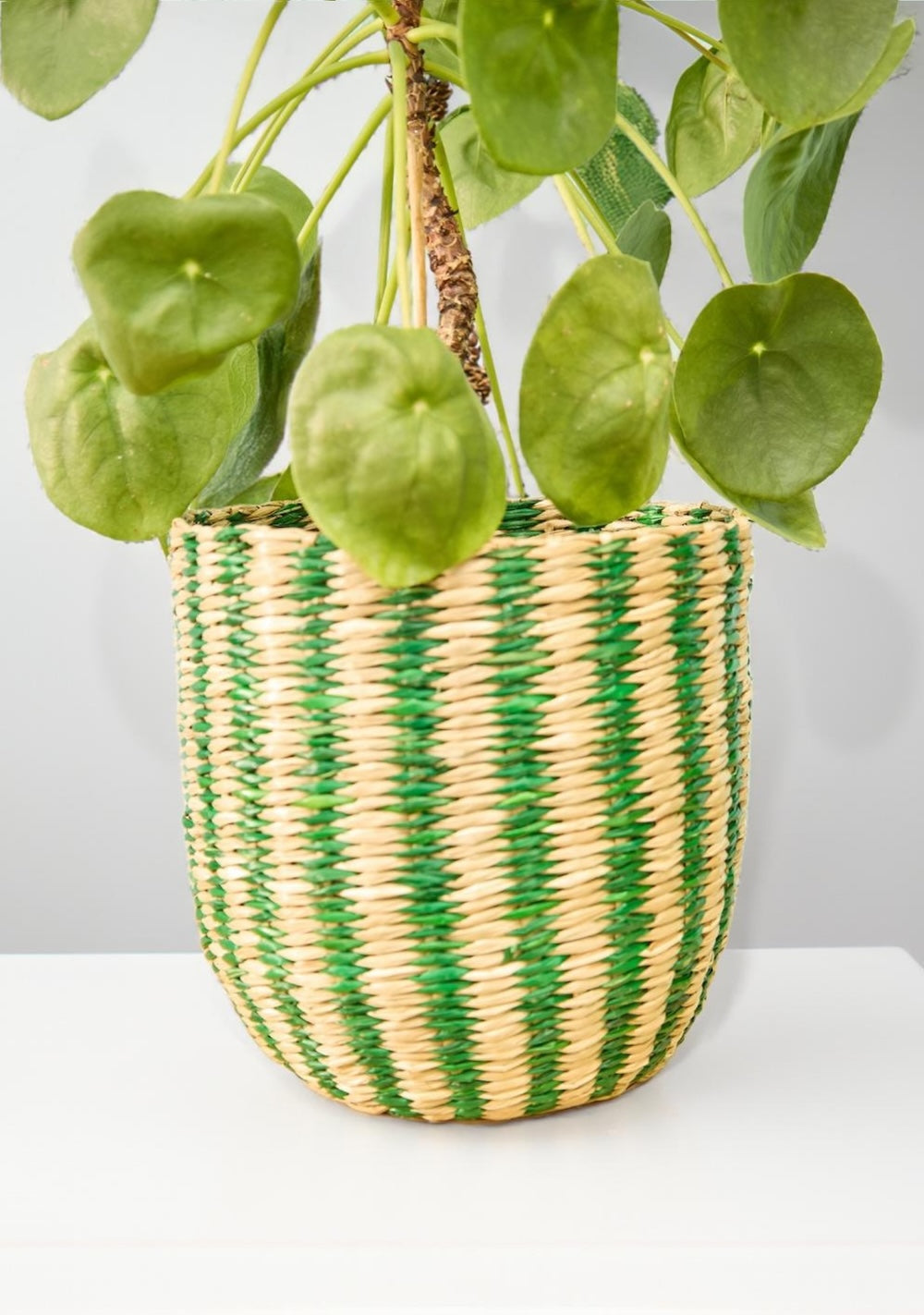 Green Striped Green Basket - Second Nature Online