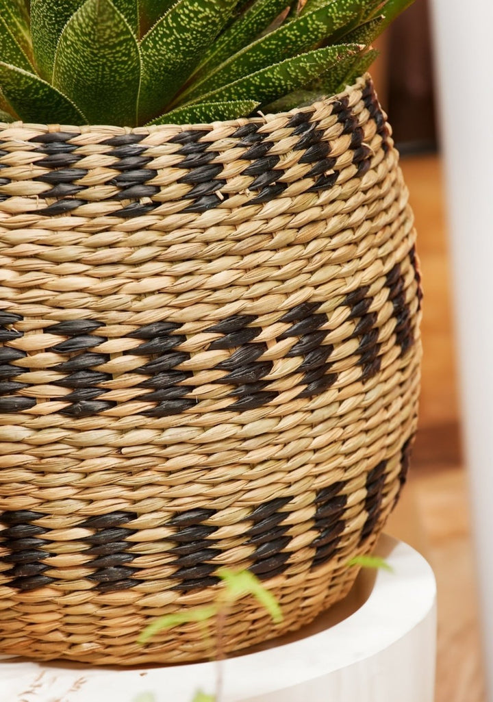 Close Up of Black and Natural Planter Basket Second Nature Online