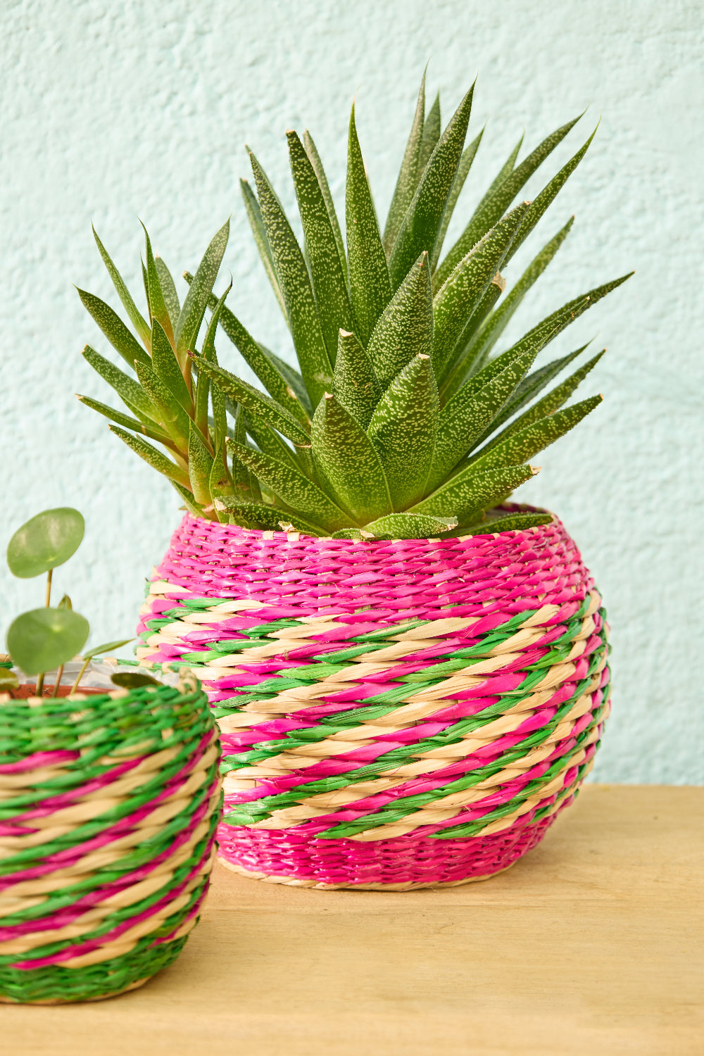 Multi Colour Seagrass Plant Pots  - Second Nature Online