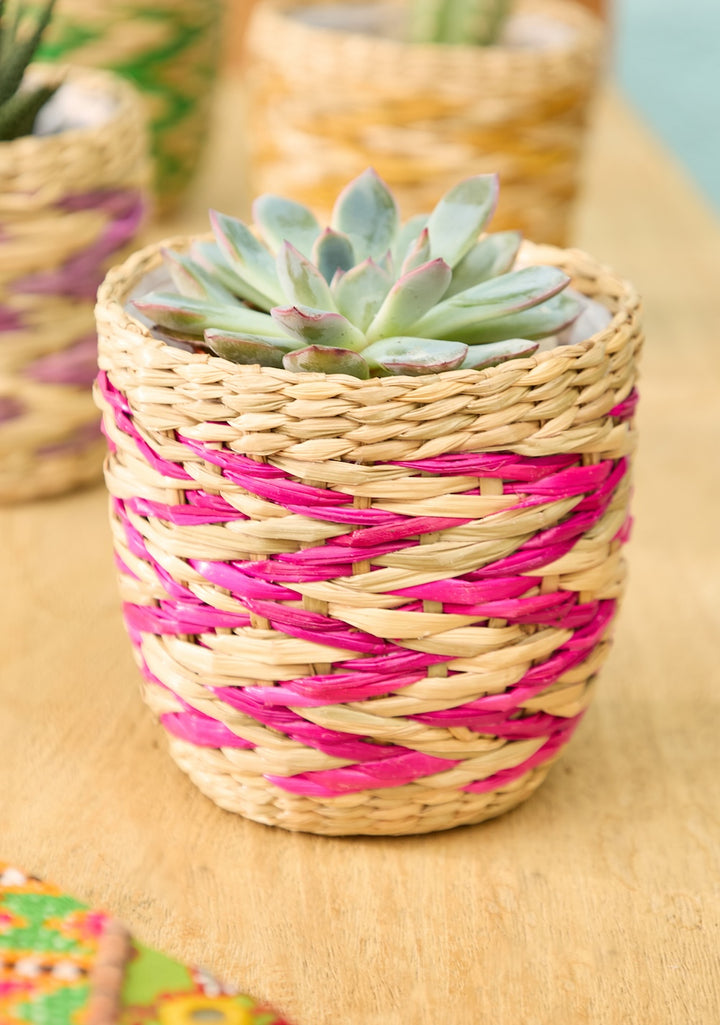 Pink Mini Basket Plant Pot - Second Nature Online