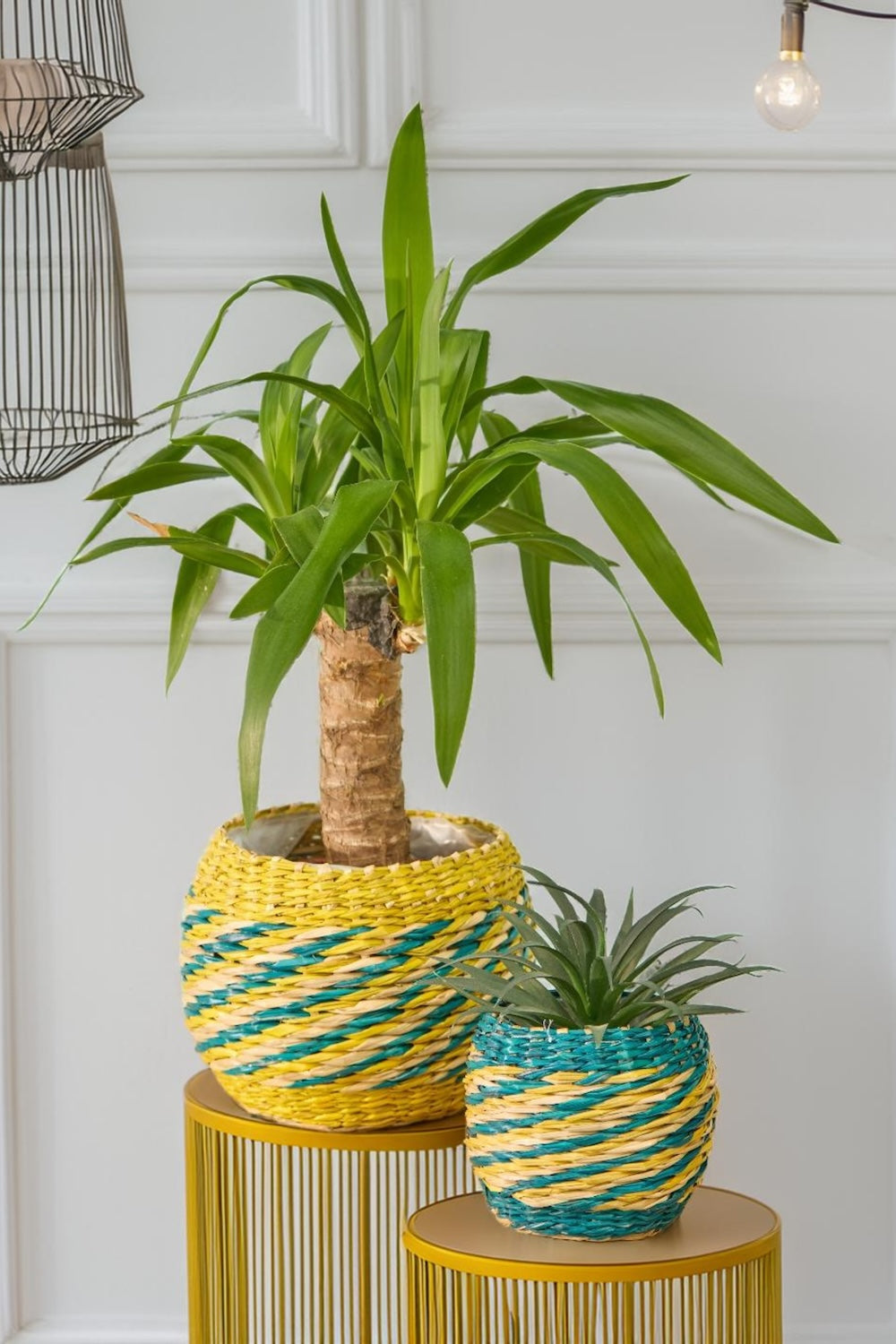 Seagrass Plant Pots In Yellow and Blue - Second Nature Online