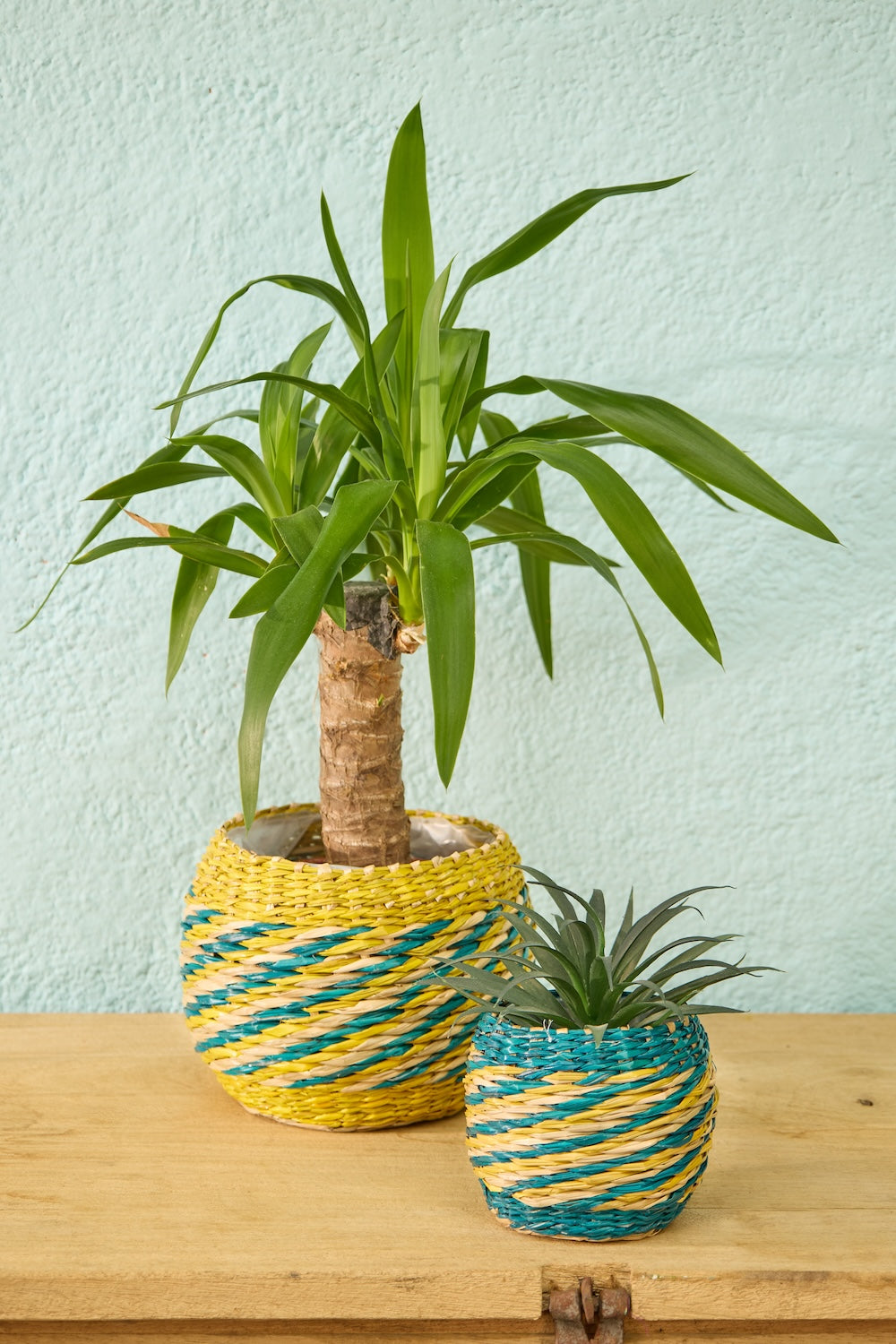 Natural Funky Seagrass Plant Pots Set Of Two - Second Nature Online