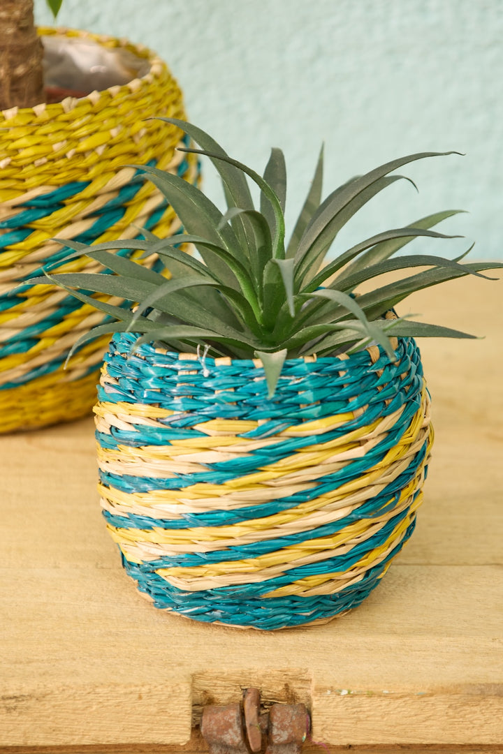 Small Blue and Yellow Seagrass Plant Pot - Second Nature Online