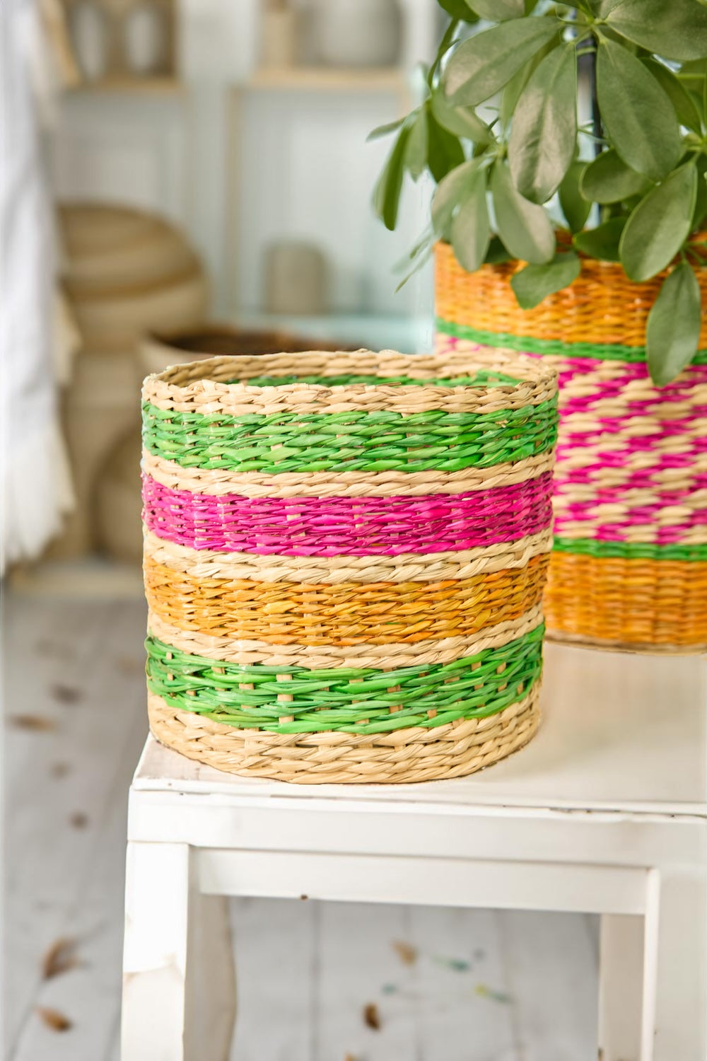 Seagrass Colourful Baskets Set For Plants - Second Nature Online