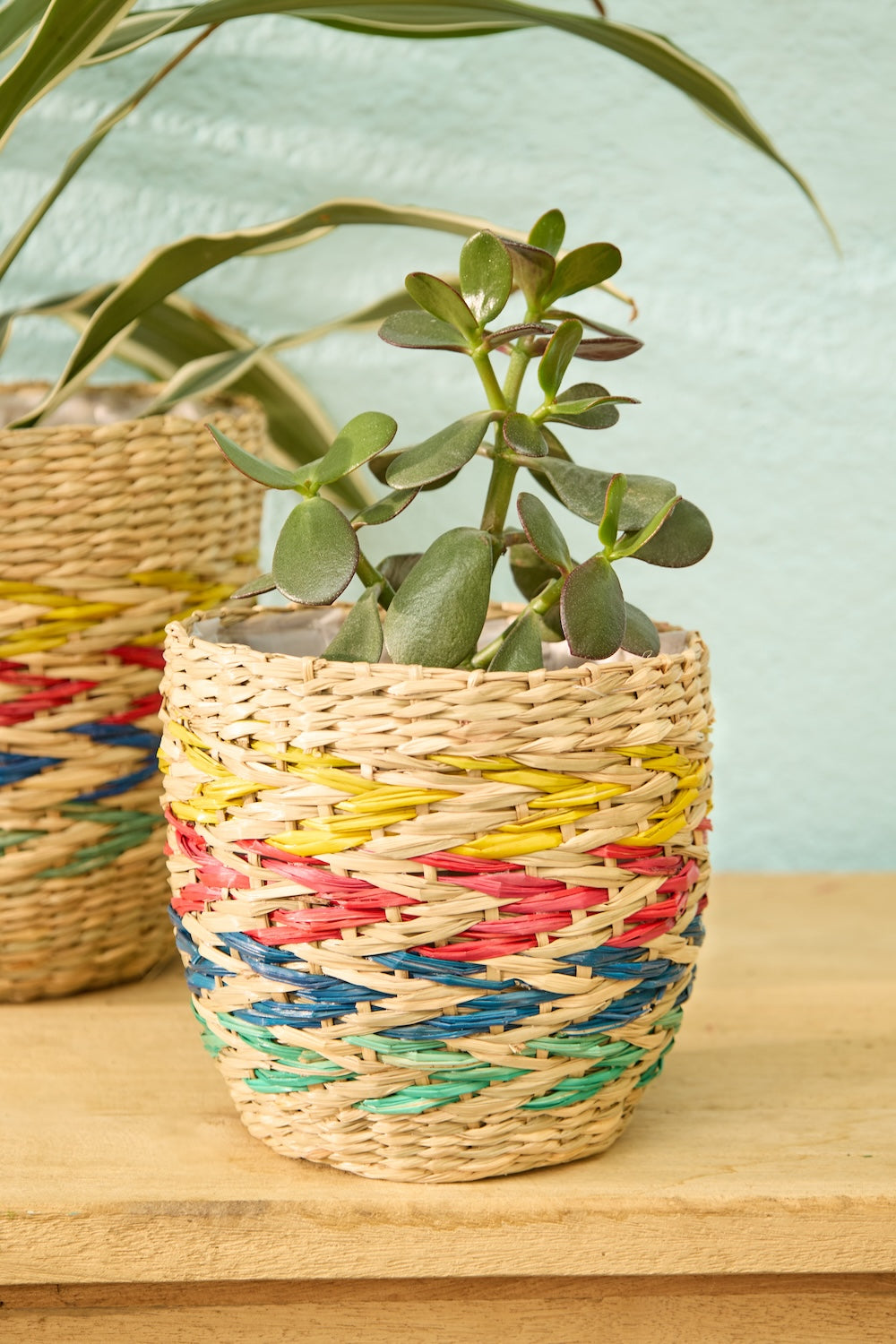 Seagrass Rainbow Chevron Planters - Second Nature Online