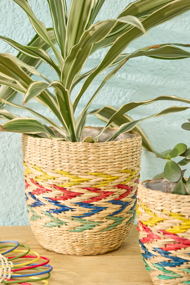 Seagrass Rainbow Chevron Planters - Second Nature Online