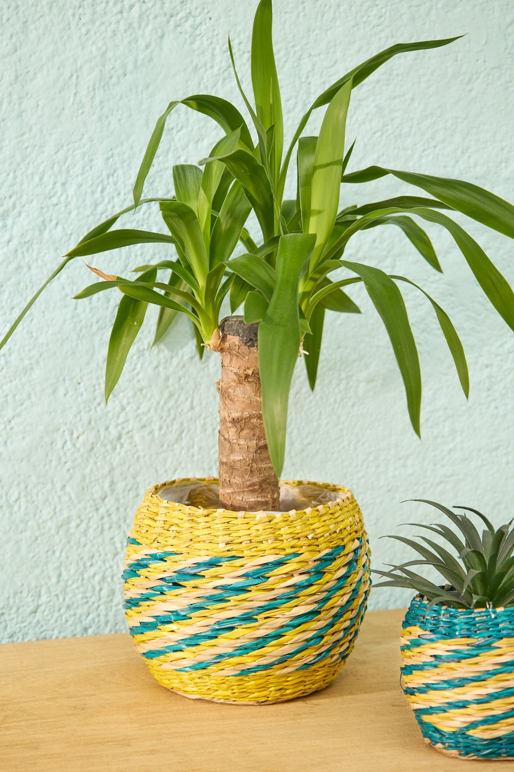 Seagrass Plant Pots Second Nature Online