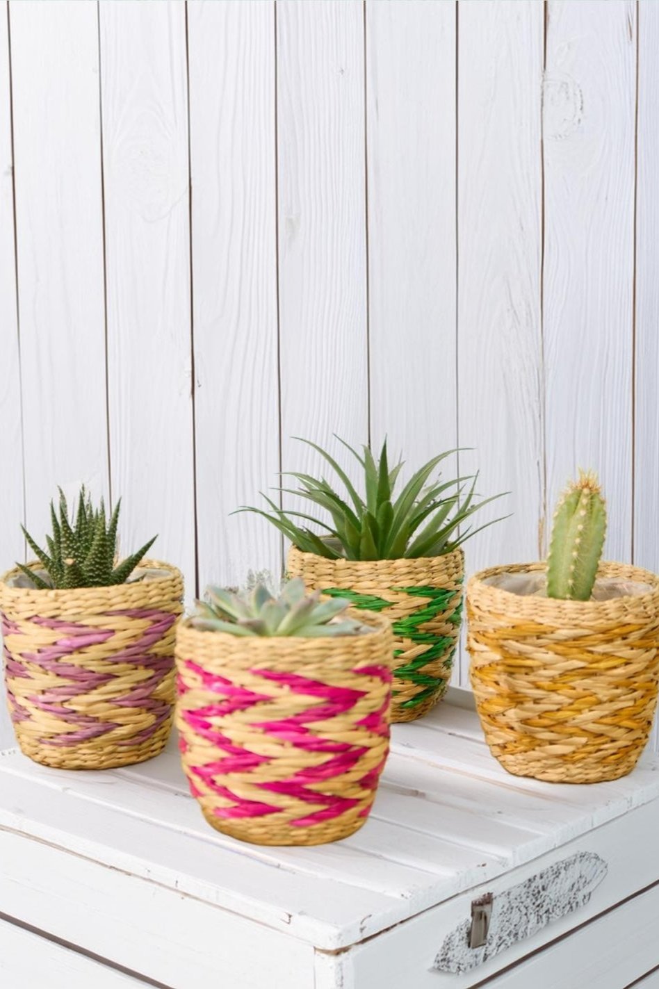 Set of 4 mini plant pots -Second Nature Online