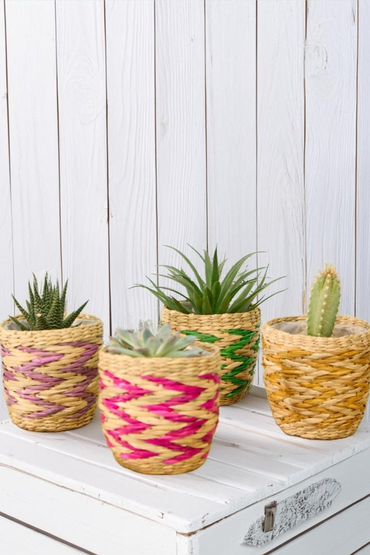 Set of 4 mini plant pots -Second Nature Online