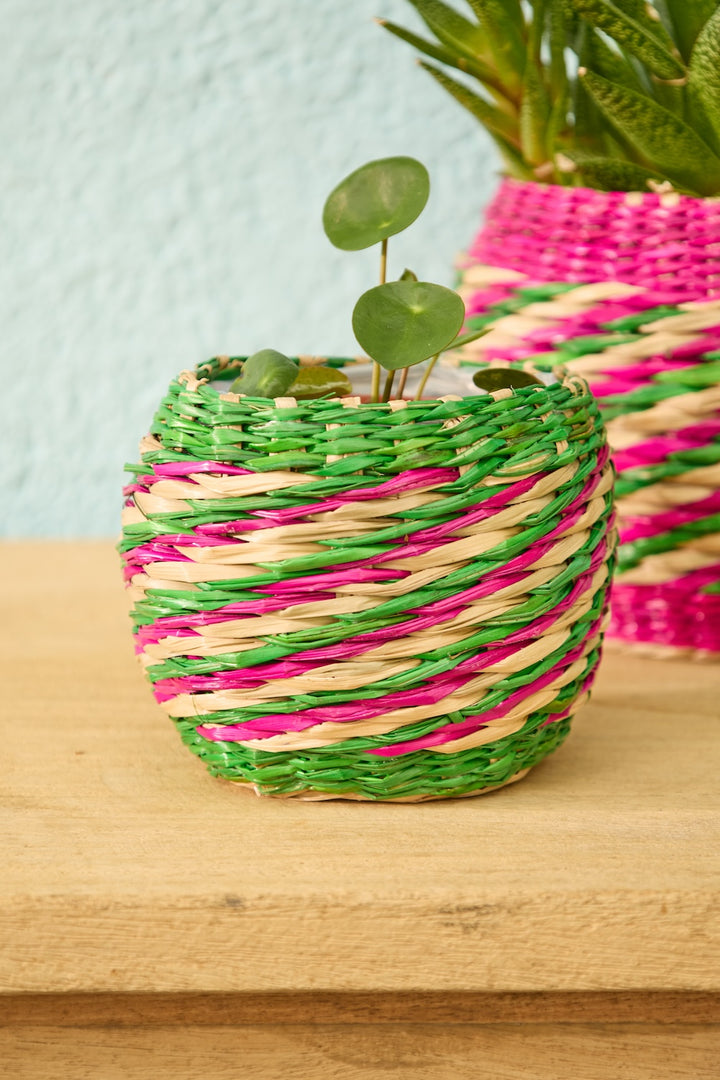 Small Seagrass Green and Pink Planter