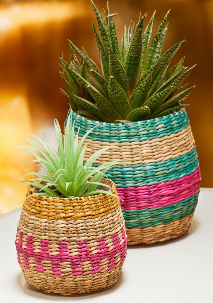 Striped Seagrass Planter Set Plant Pots Second Nature Online