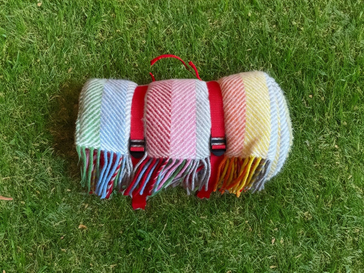 The Meadow Picnic Rug:  Rainbow Grey Stripe Soft, Waterproof, & Easy to Carry