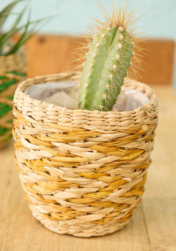 Yellow Small Chevron Striped Mini Planter Basket