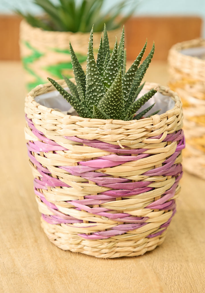 Purple Pink Stripes Chevron Mini Basket
