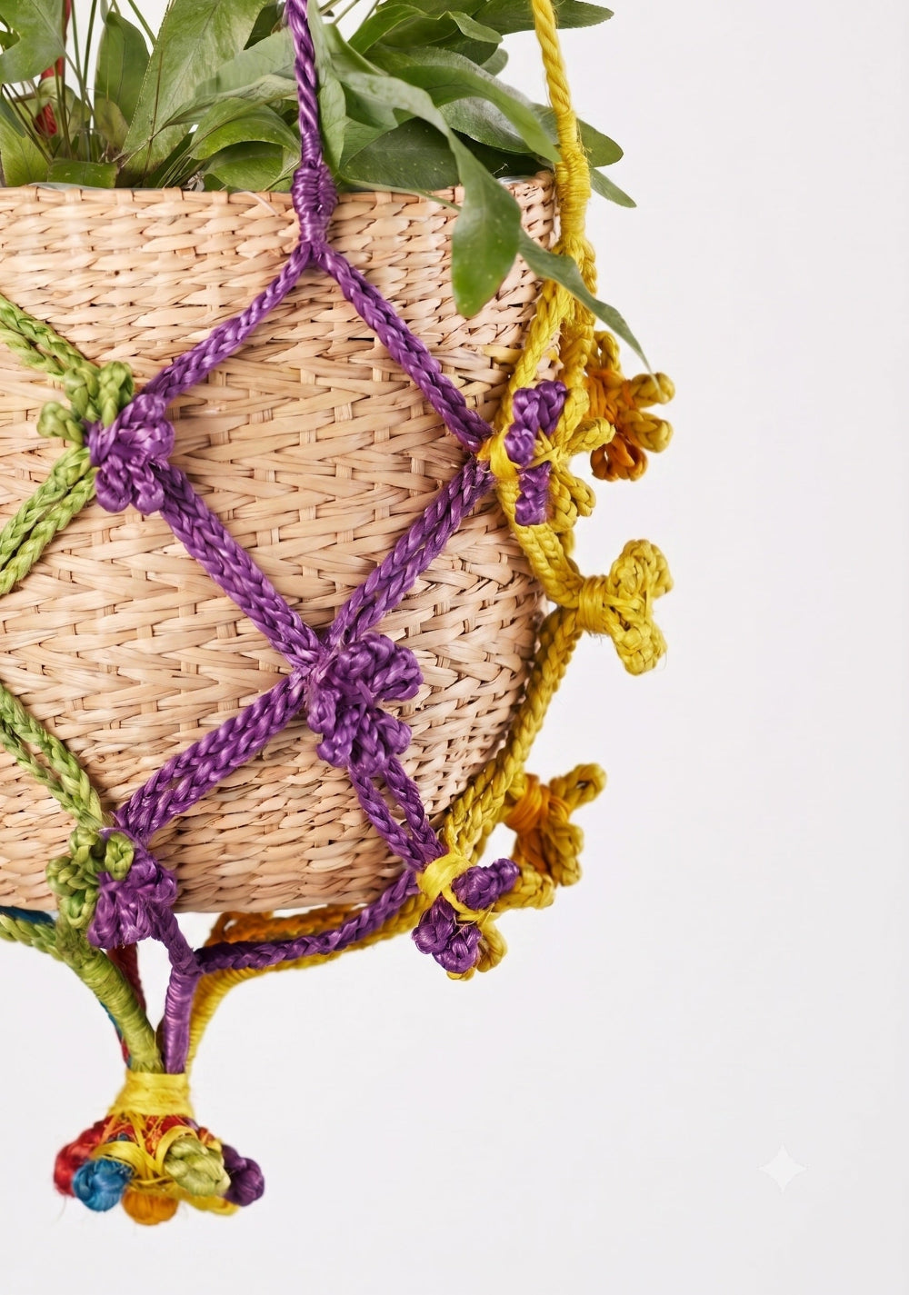 Basket Holder close up