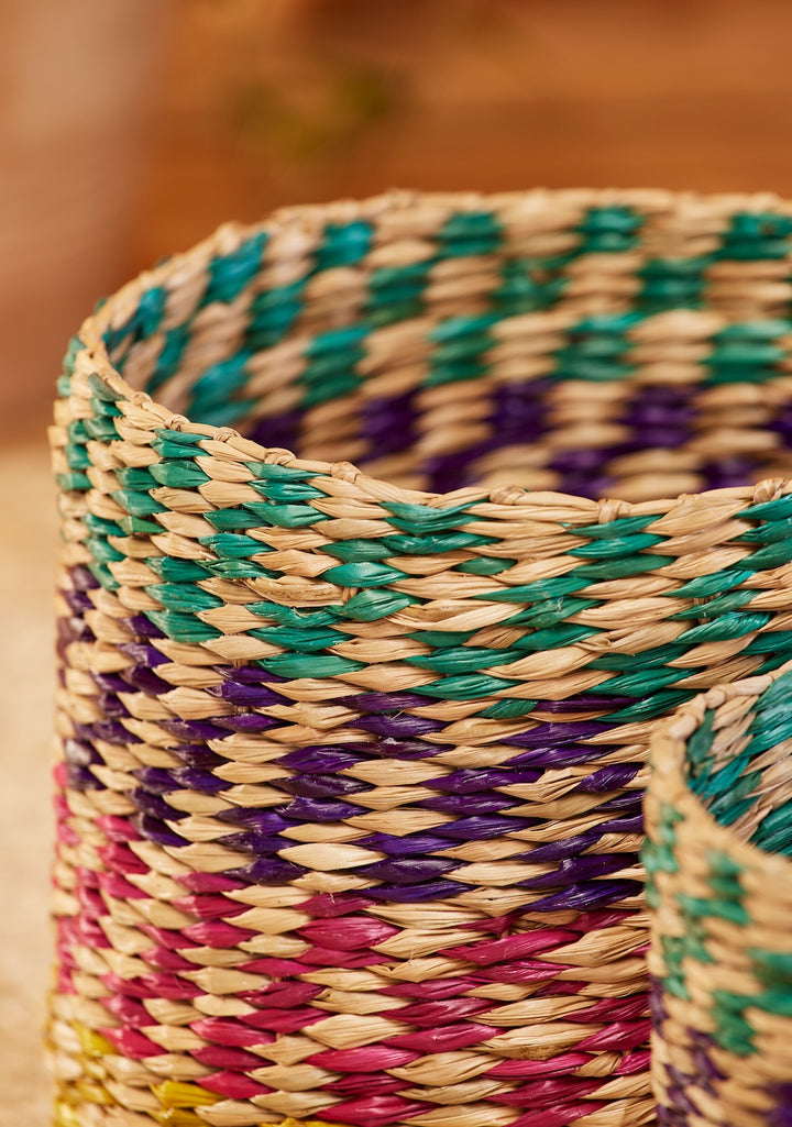 Close Up of Rainbow Baskets Second Nature Online