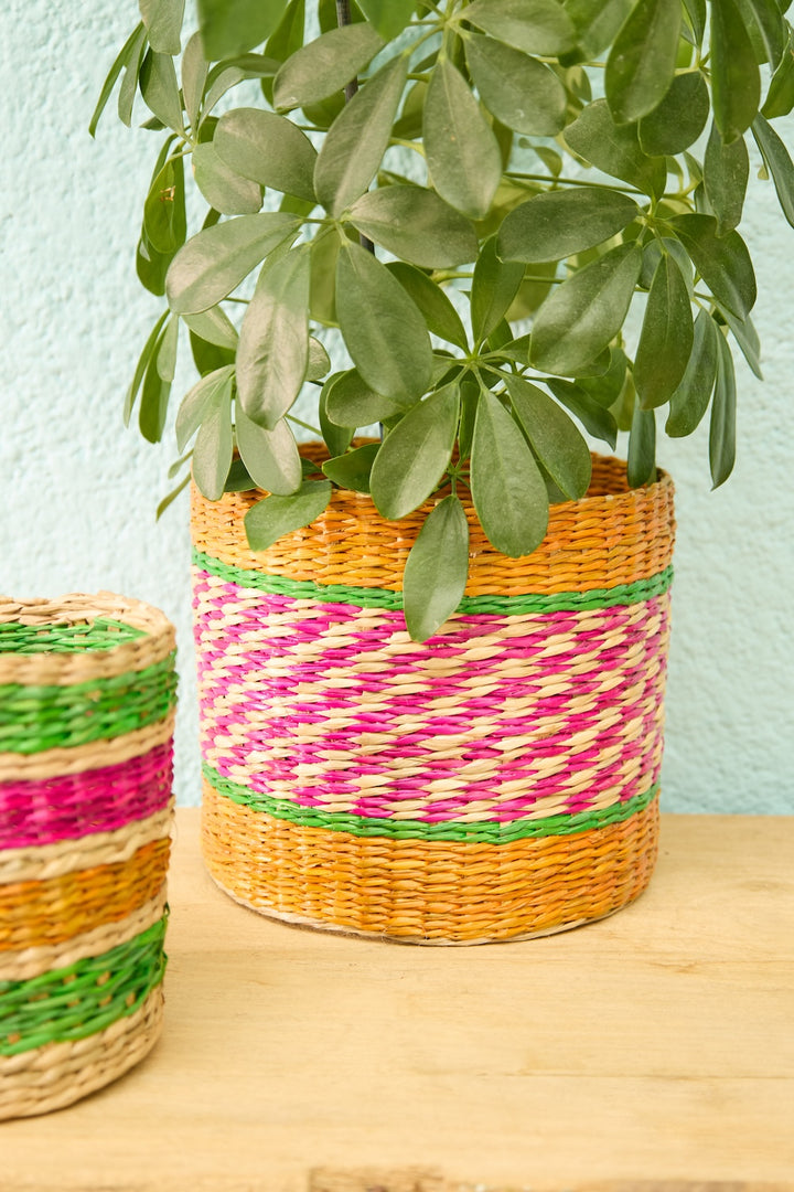 Seagrass Planters Set of Two Second Nature Online
