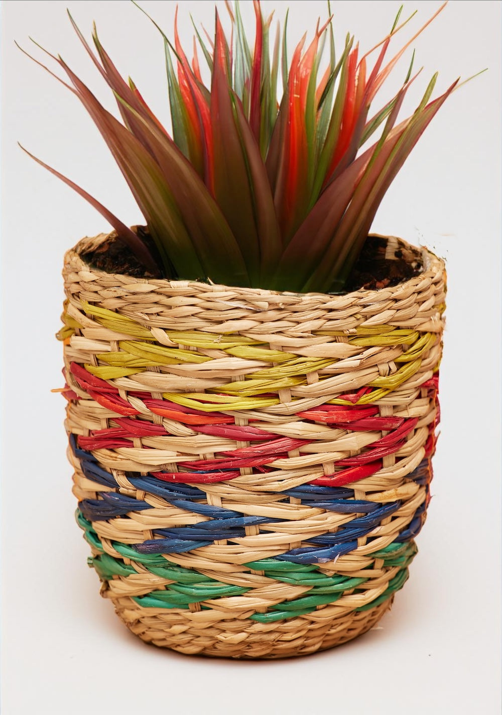 Small Seagrass Rainbow Planter Second Nature Online