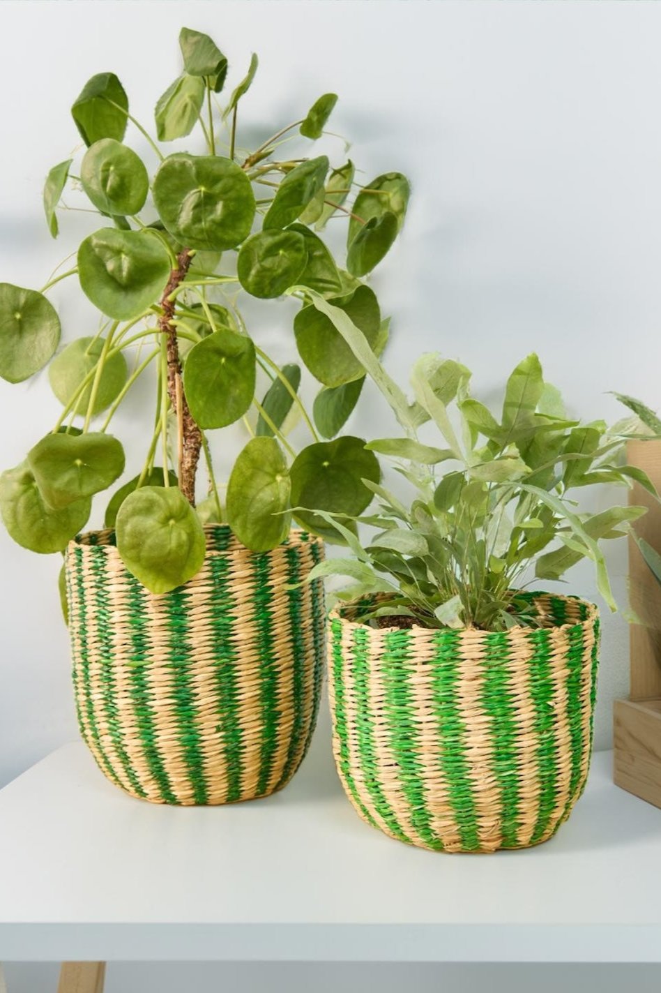 Striped Green Seagrass Baskets Planters Second Nature Online
